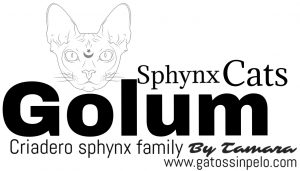 sphynx cats spain logo